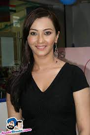 Nausheen Ali Sardar Net Worth